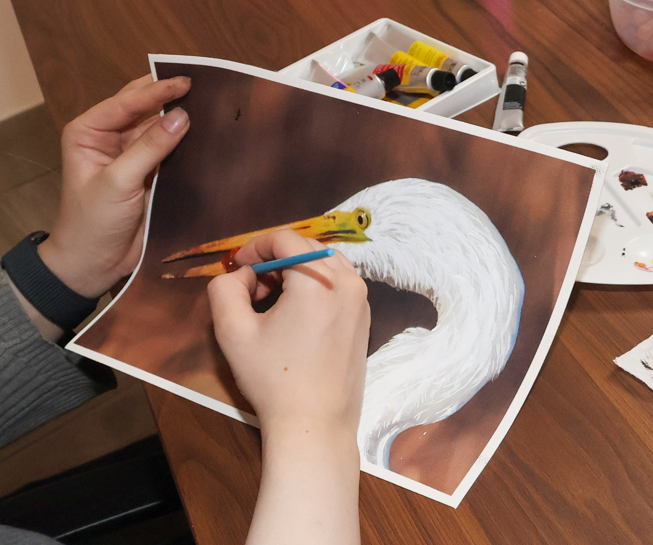 Artist painting on egret photo canvas
